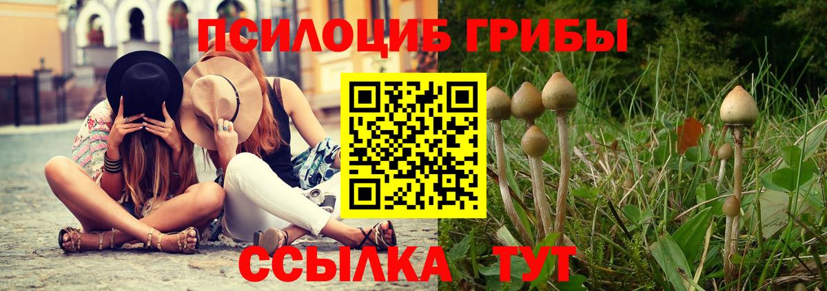 Галлюциногенные грибы MAGIC MUSHROOMS  Вход с VPN  Менделеевск  Псилоцибиновые грибы Cubensis 