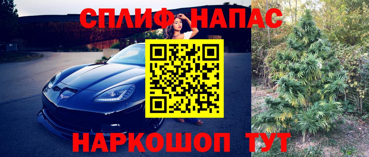 Каннабис сатива Менделеевск